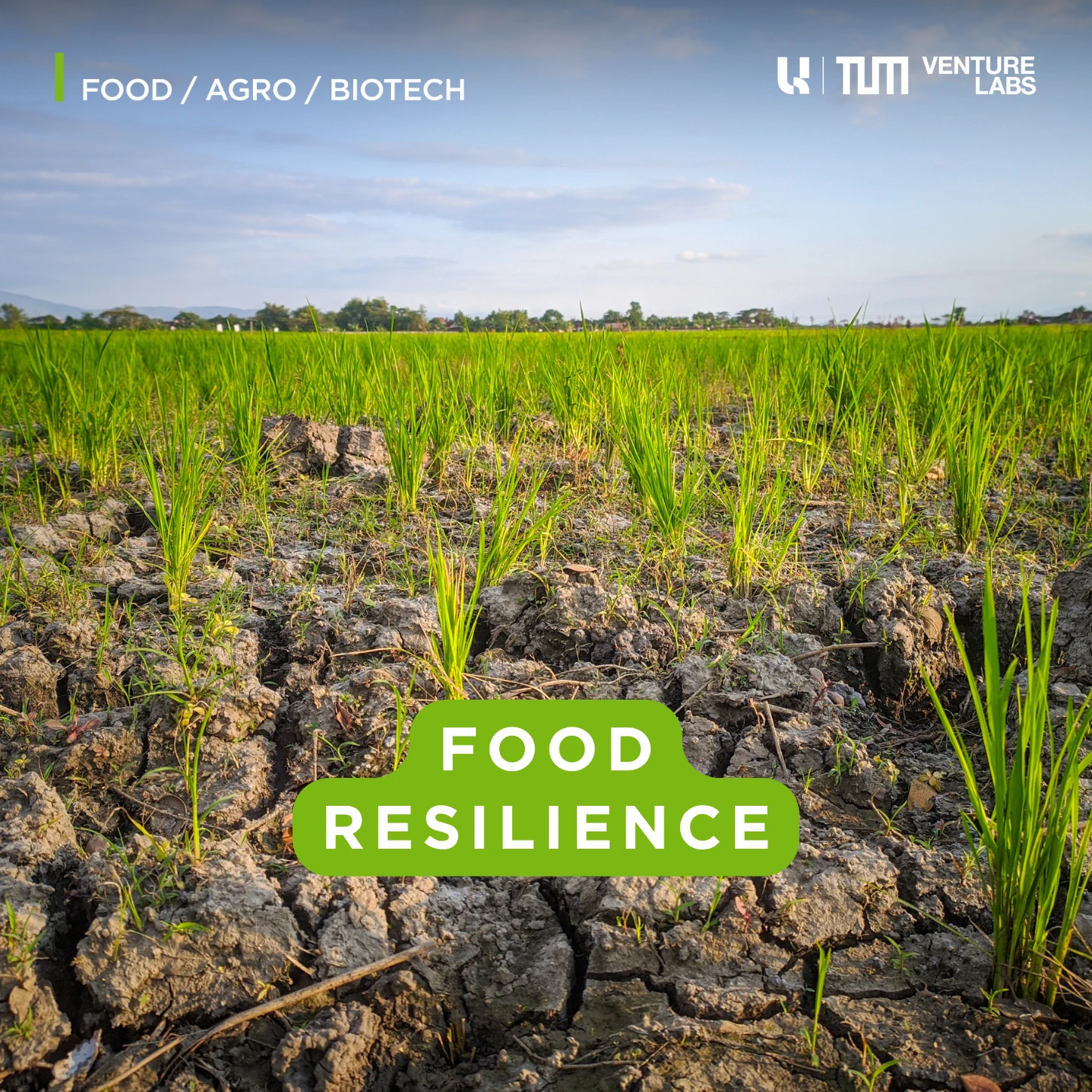Fokus Areas Projects and Initiatives 10