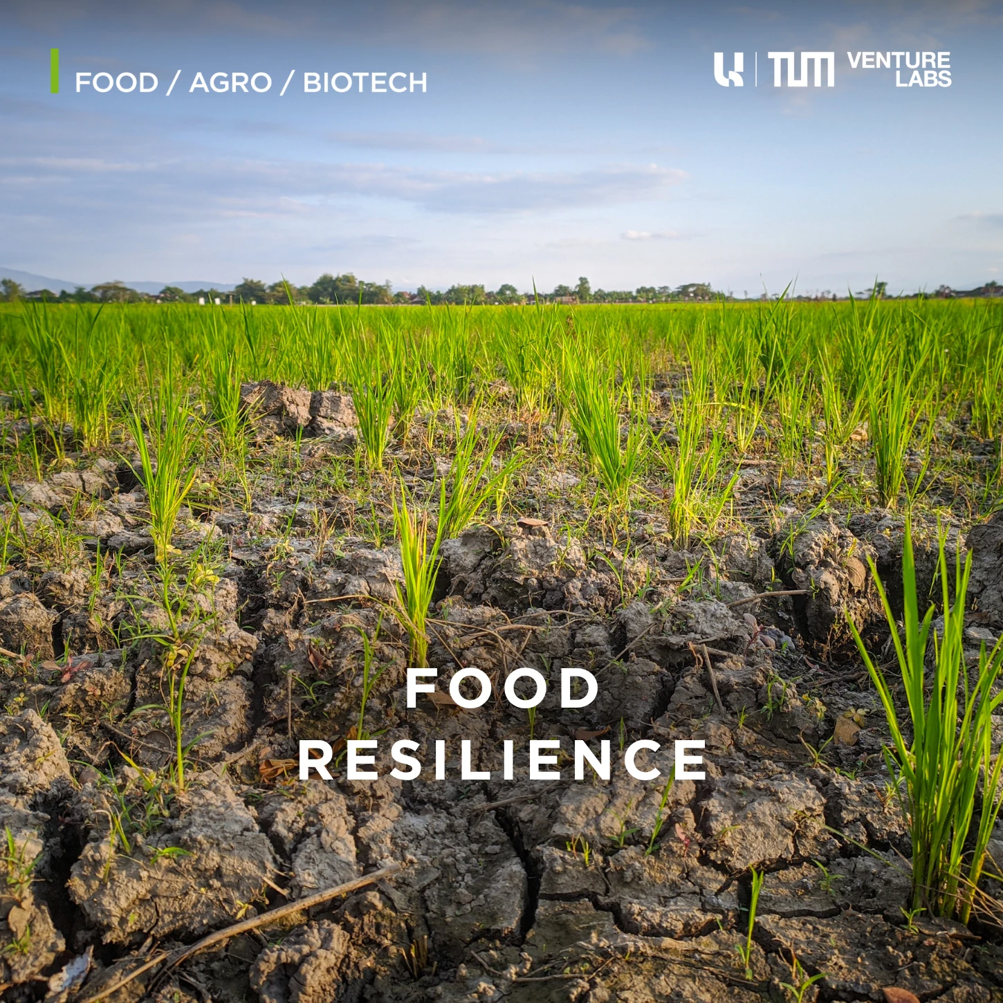 Fokus Areas Projects and Initiatives 6