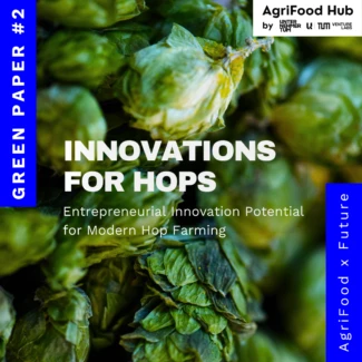 Paper2 Hopfen 2026 08 06